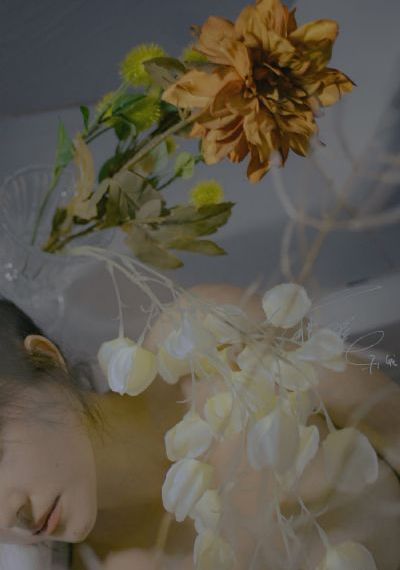 排球少年四季在线观看免费_超清高清视频观看