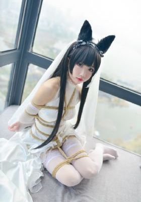 我和大佬365天的第二季_DVD神马影院在线